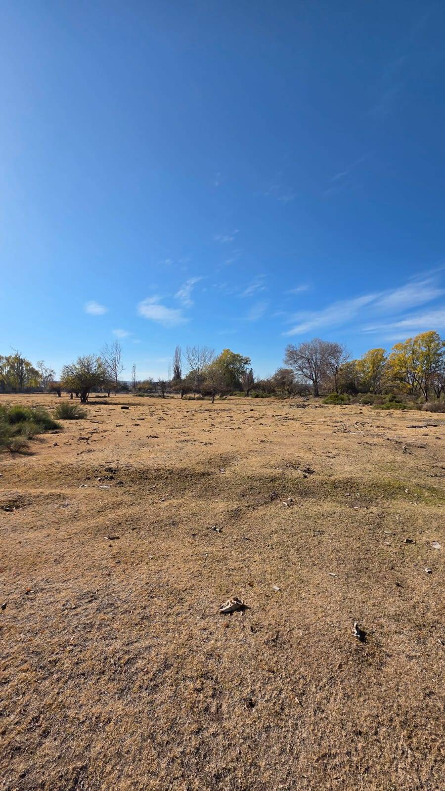 Finca en Venta en Tunuyan, Mendoza