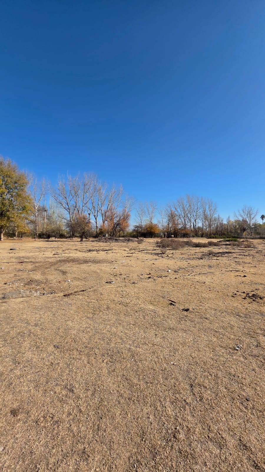 Finca en Venta en Tunuyan, Mendoza