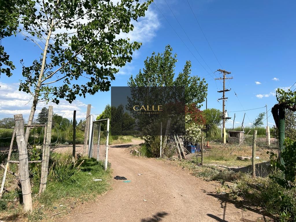 Finca en Venta en Lujan de Cuyo, Mendoza