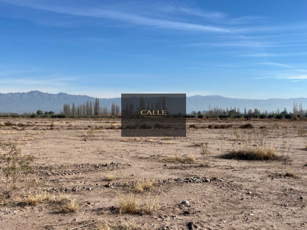 Terreno en Venta en Maipu, Mendoza