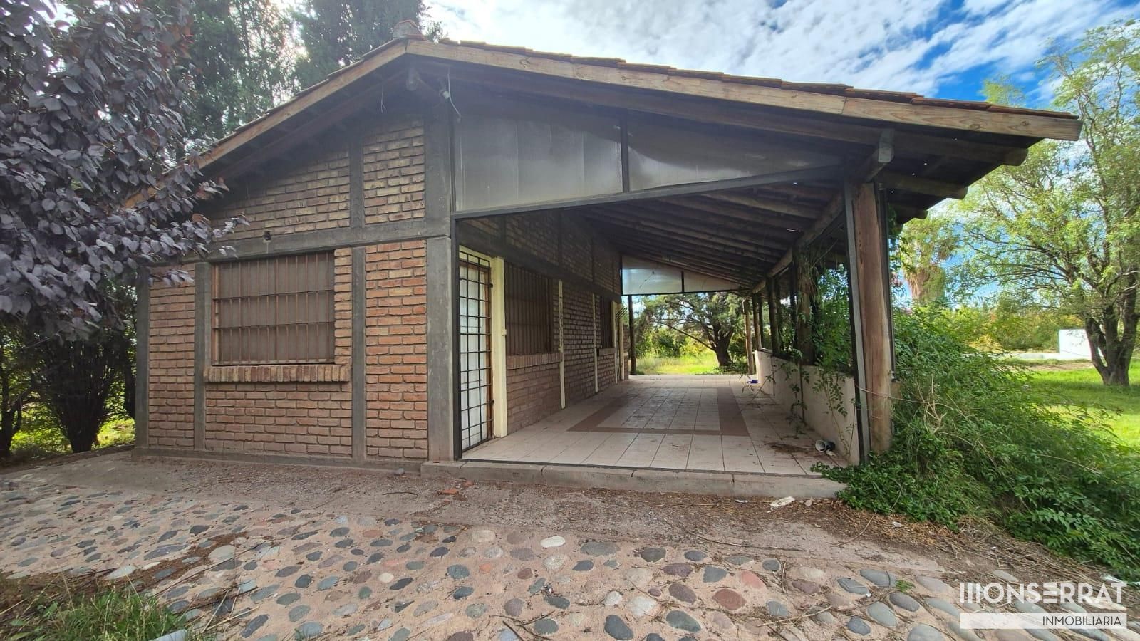 Imagen 5