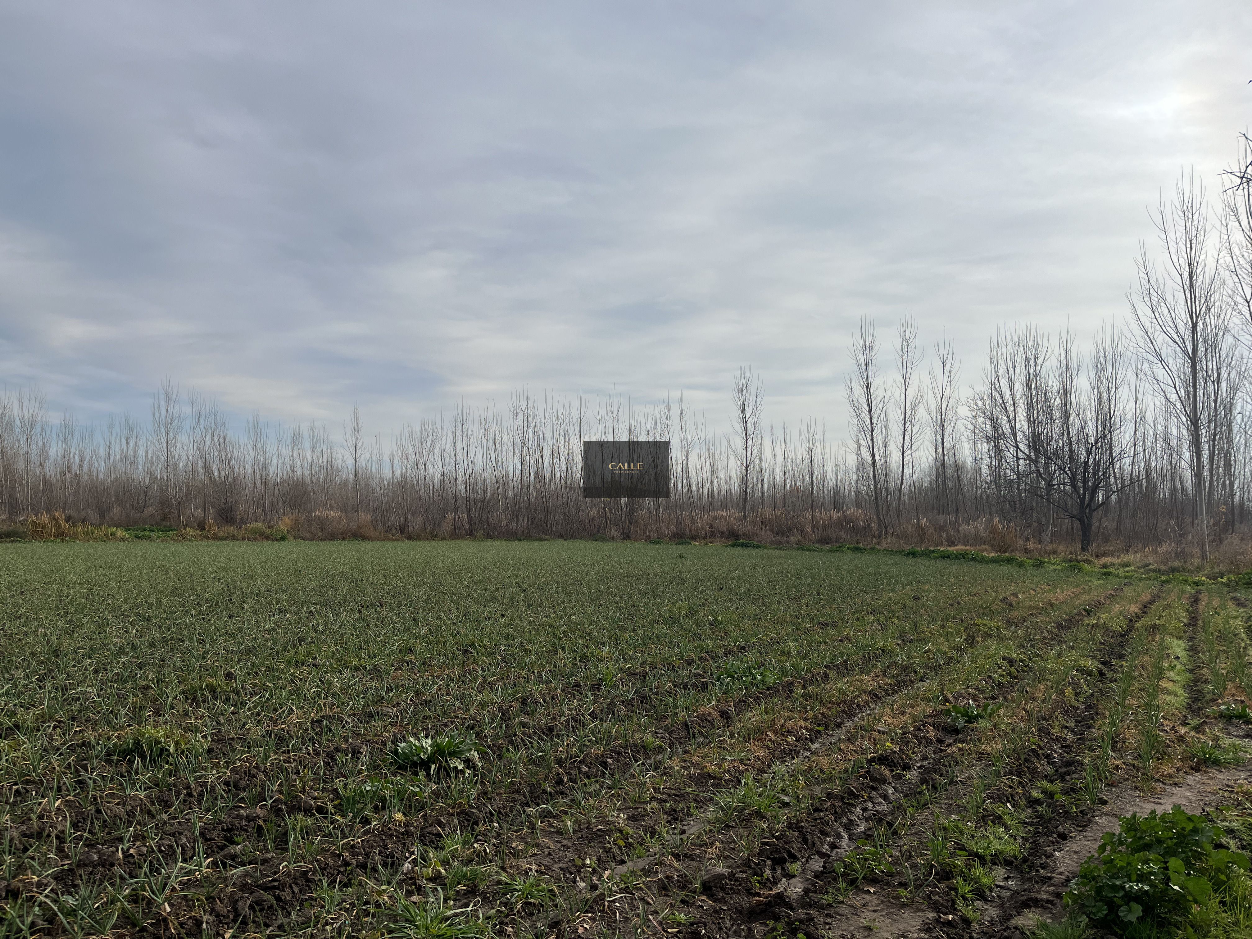 Finca en Venta en Tunuyan, Mendoza