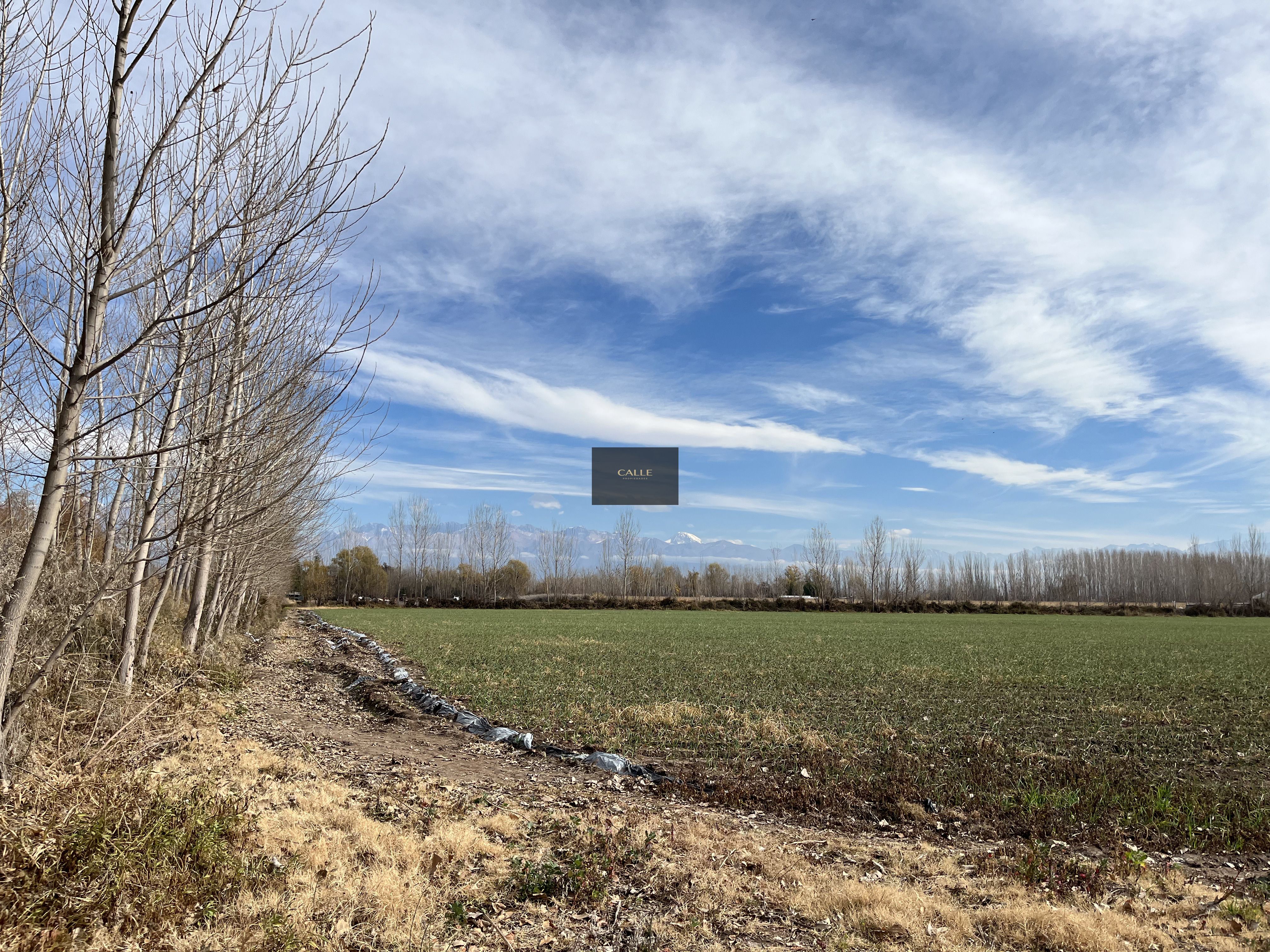 Finca en Venta en Tunuyan, Mendoza