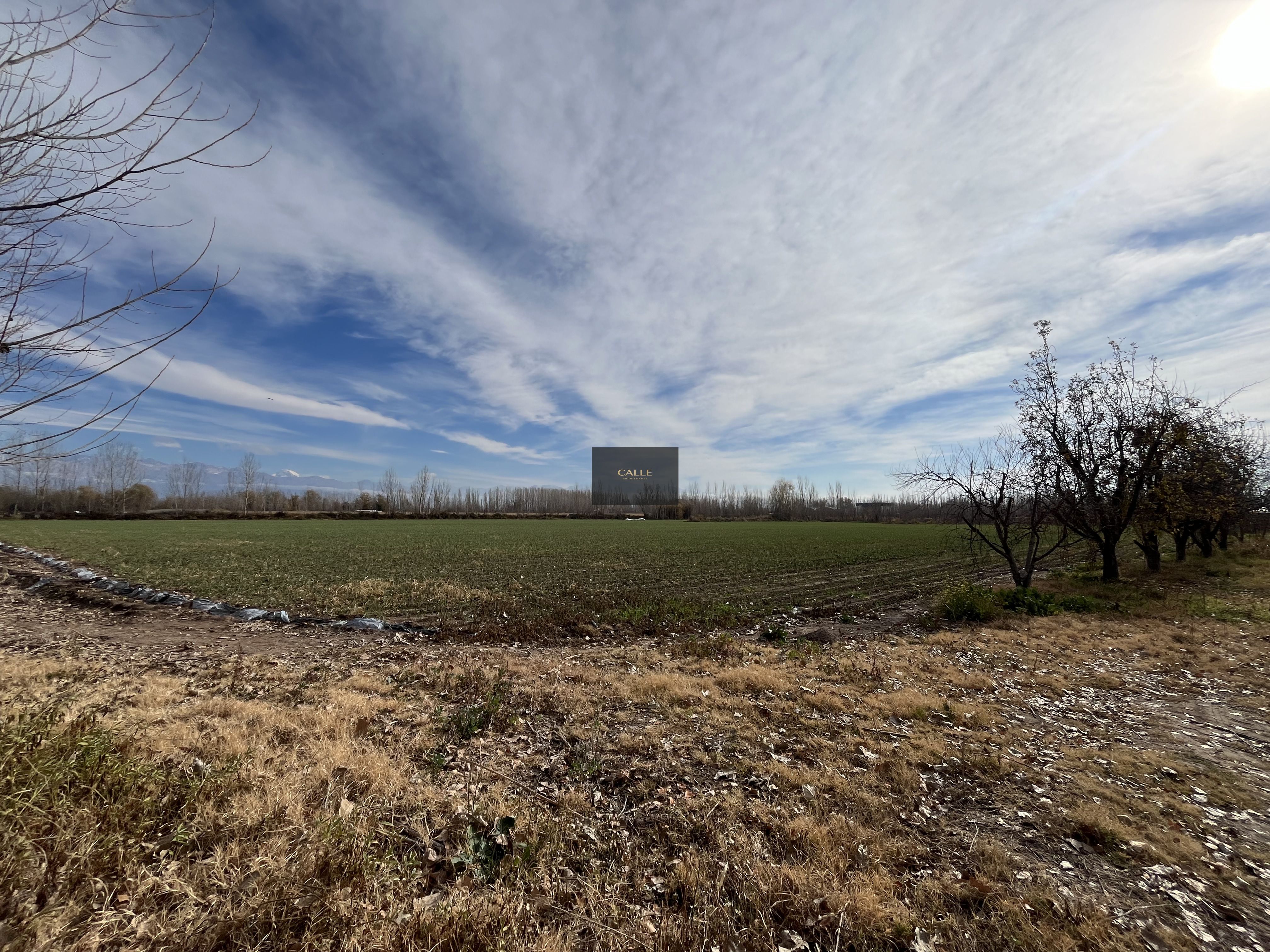 Finca en Venta en Tunuyan, Mendoza