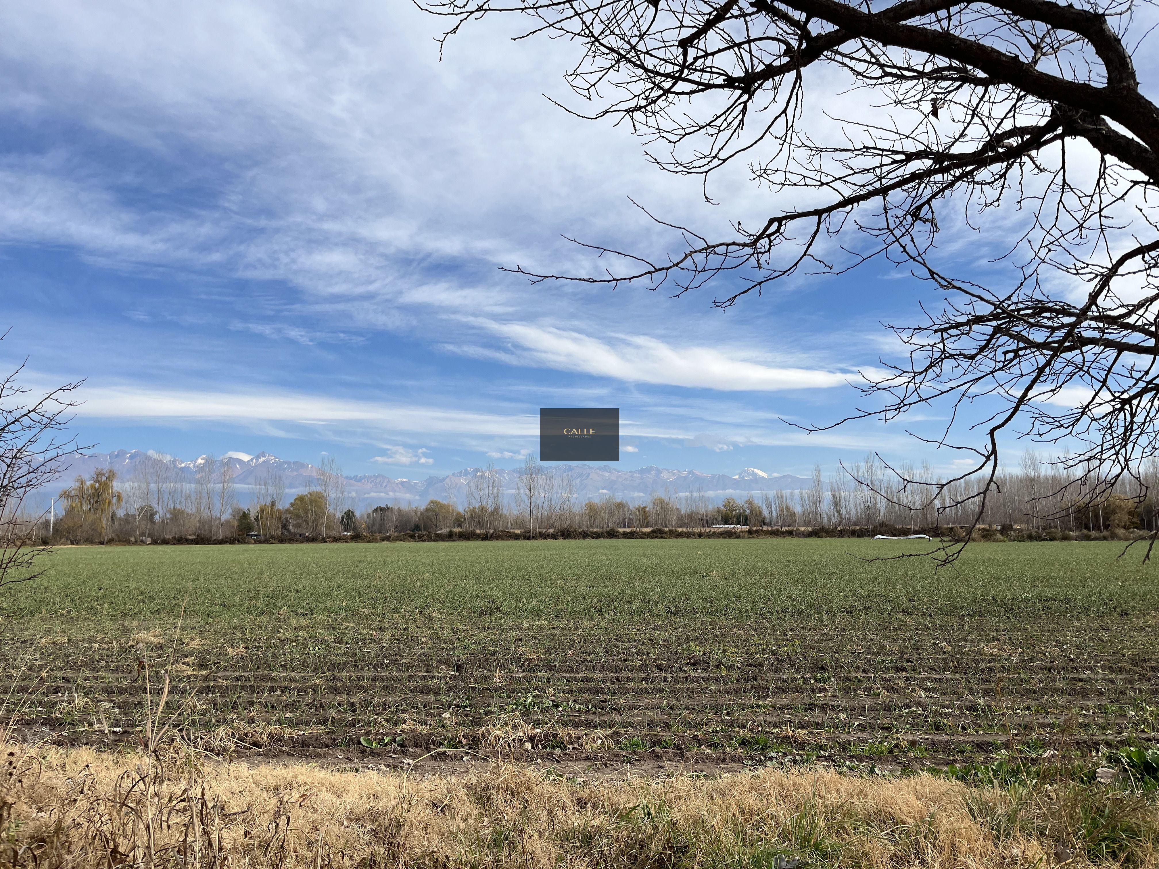 Finca en Venta en Tunuyan, Mendoza