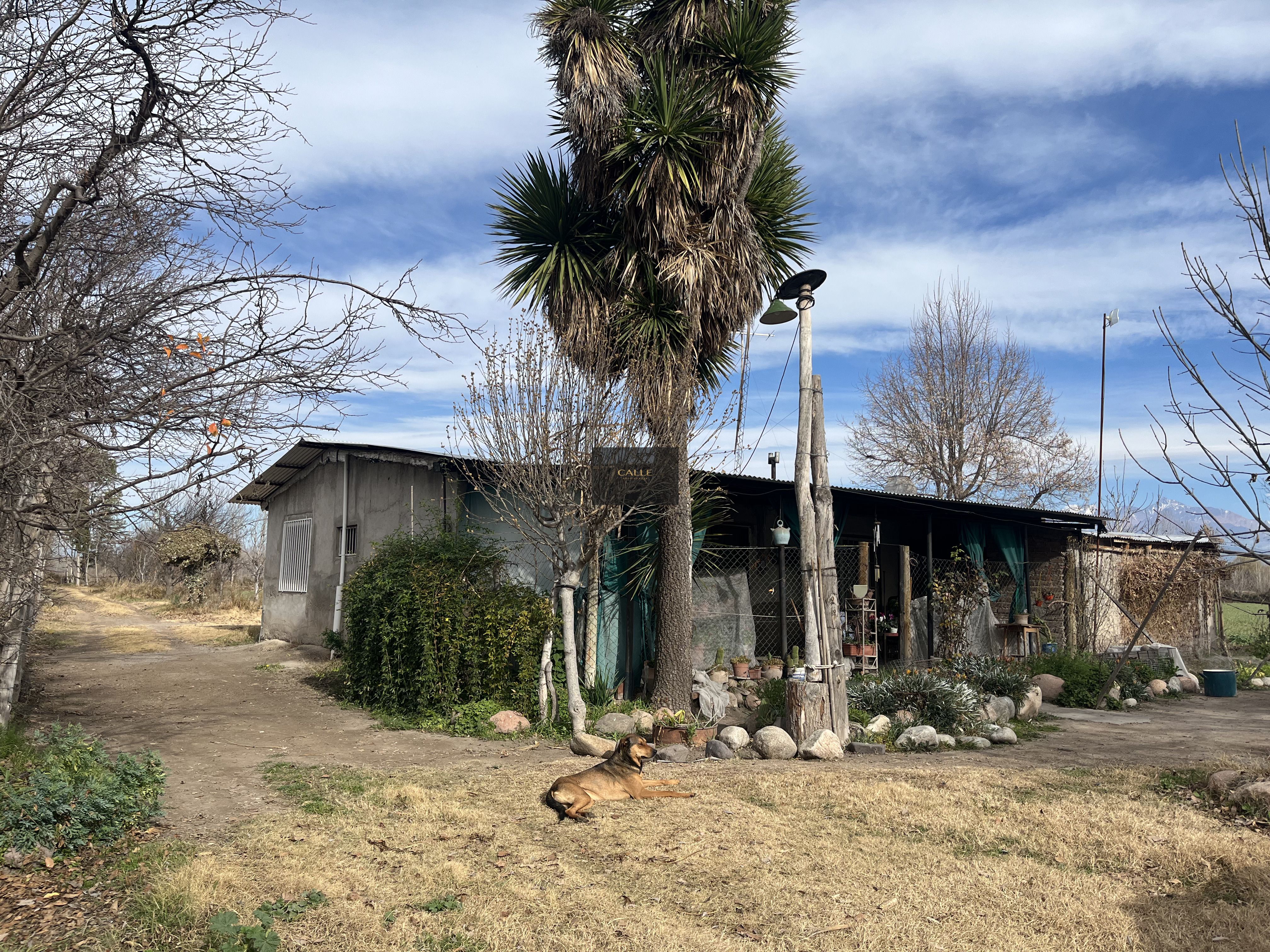Finca en Venta en Tunuyan, Mendoza