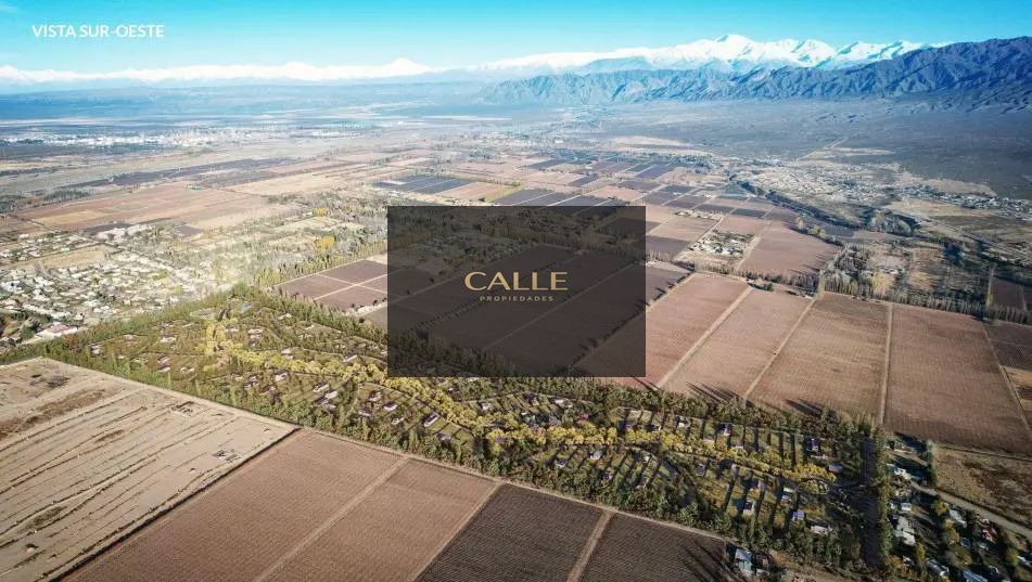 Terreno en Venta en Lujan de Cuyo, Mendoza