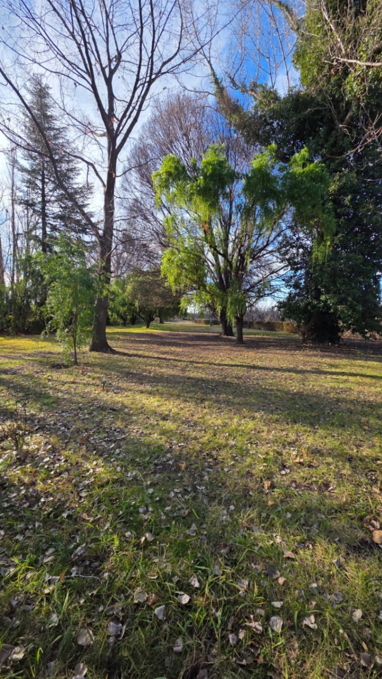Finca en Venta en Tunuyan, Mendoza