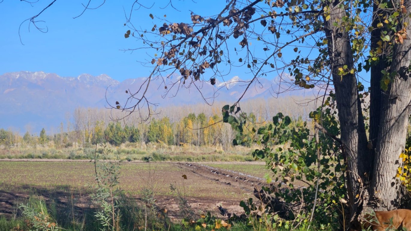 Finca en Venta en Tunuyan, Mendoza