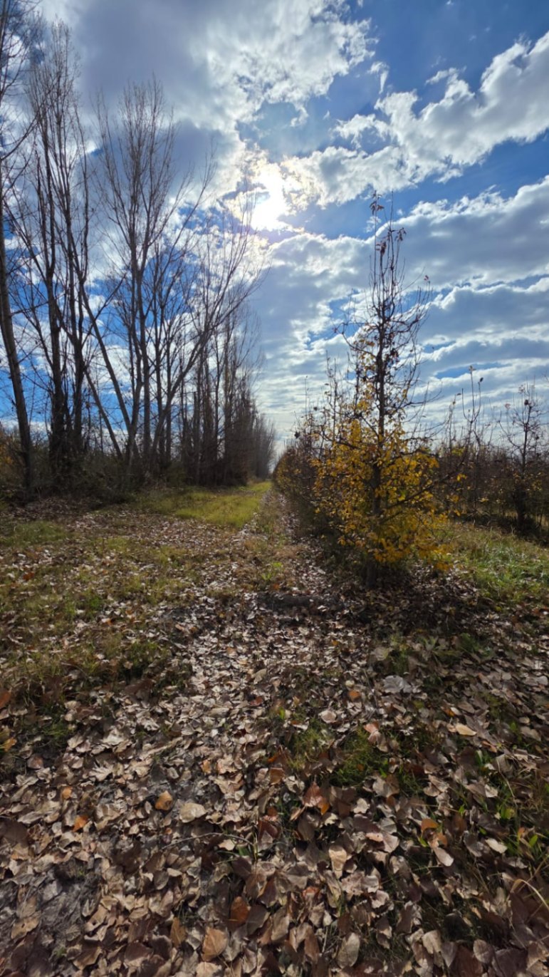 Finca en Venta en Tunuyan, Mendoza