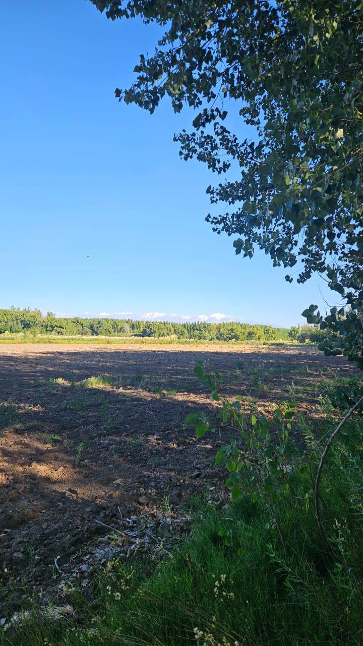 Finca en Venta en Tunuyan, Mendoza