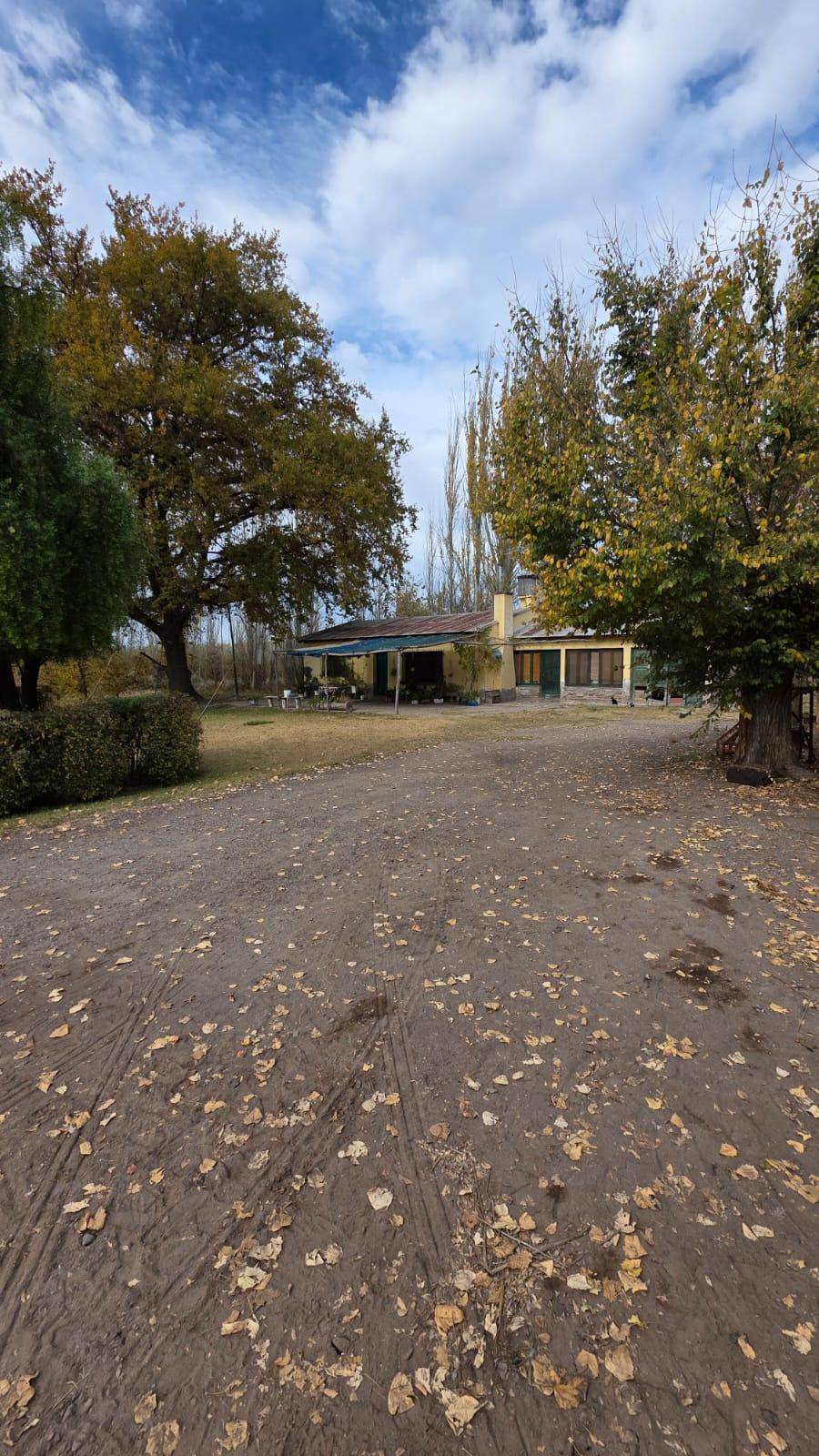Finca en Venta en Tunuyan, Mendoza