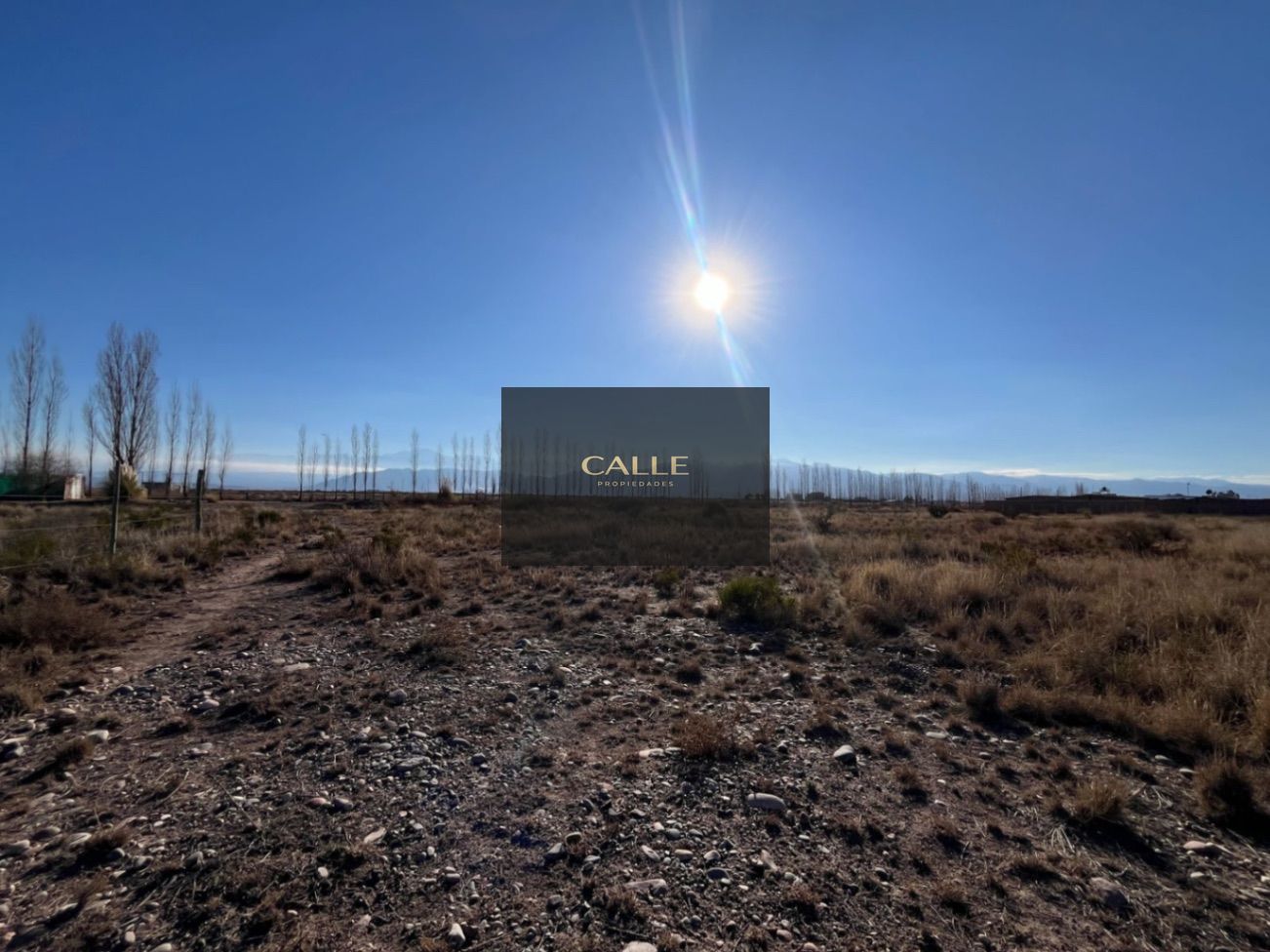 Terreno en Venta en Lujan de Cuyo, Mendoza