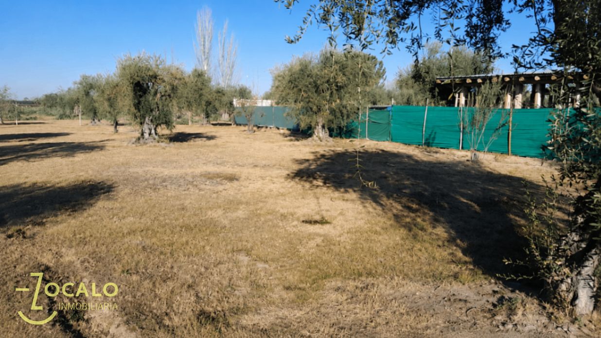Terreno en Venta en Maipu, Mendoza