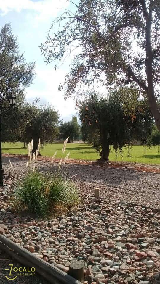 Maipu Lote en Olivos de Furlotti, Azcuenaga 2600