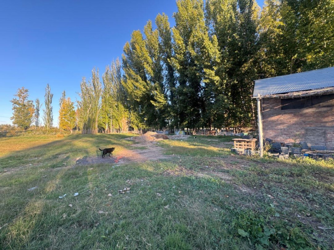 Galpon en Alquiler en Guaymallen, Mendoza