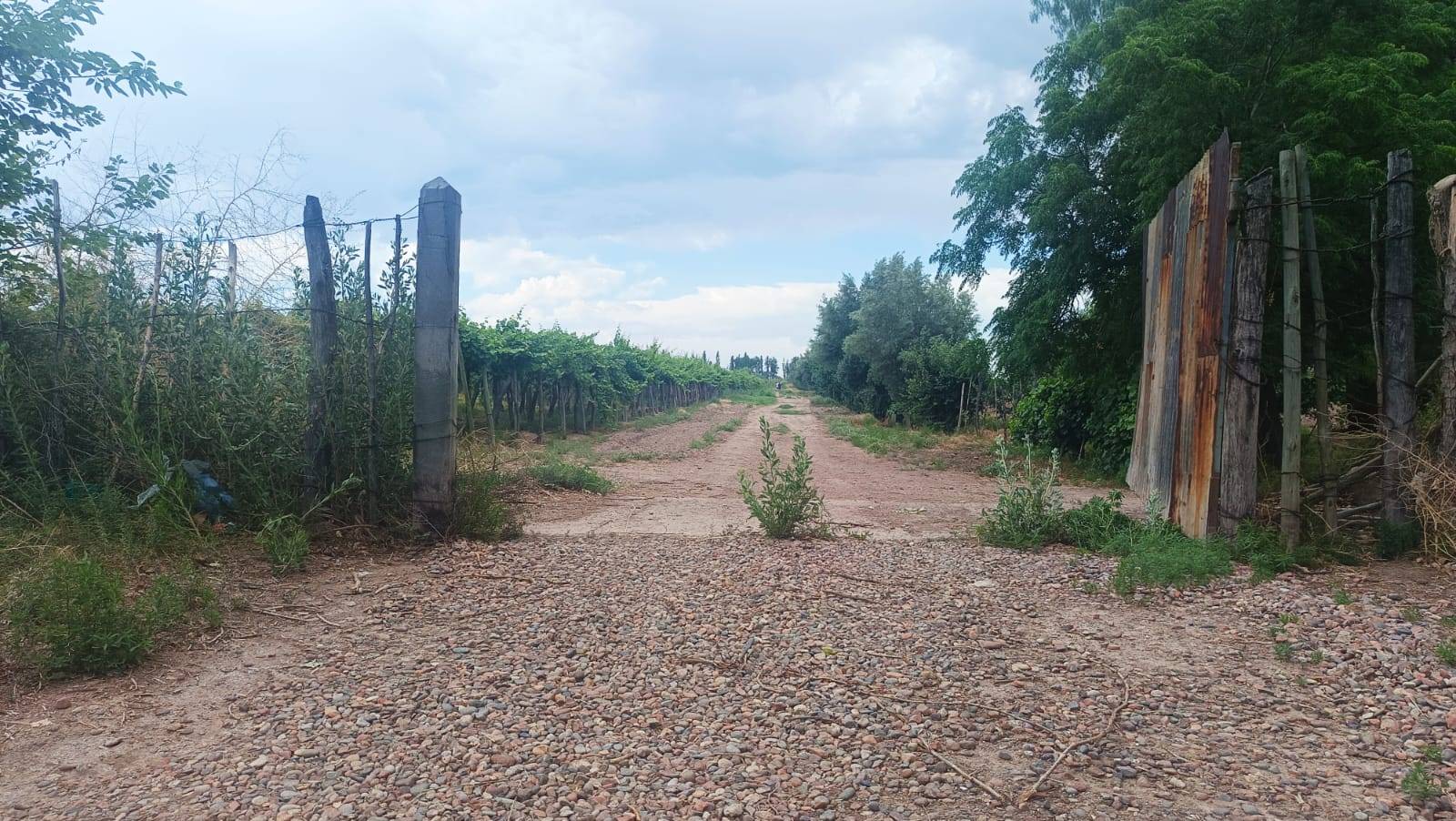 Finca en Venta en Guaymallen, Mendoza