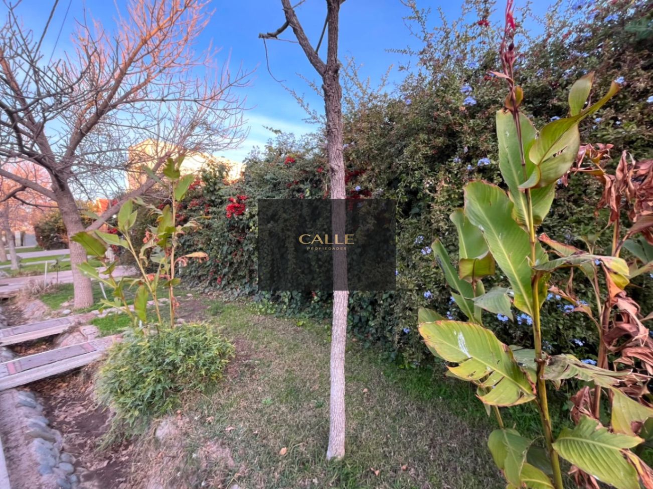Casa en Venta en Guaymallen, Mendoza - USD 205.000 | Inmoup - 10