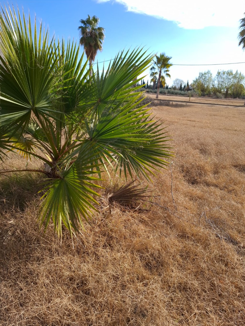 Terreno en Venta en Guaymallen, Mendoza - USD 15.000 | Inmoup - 6