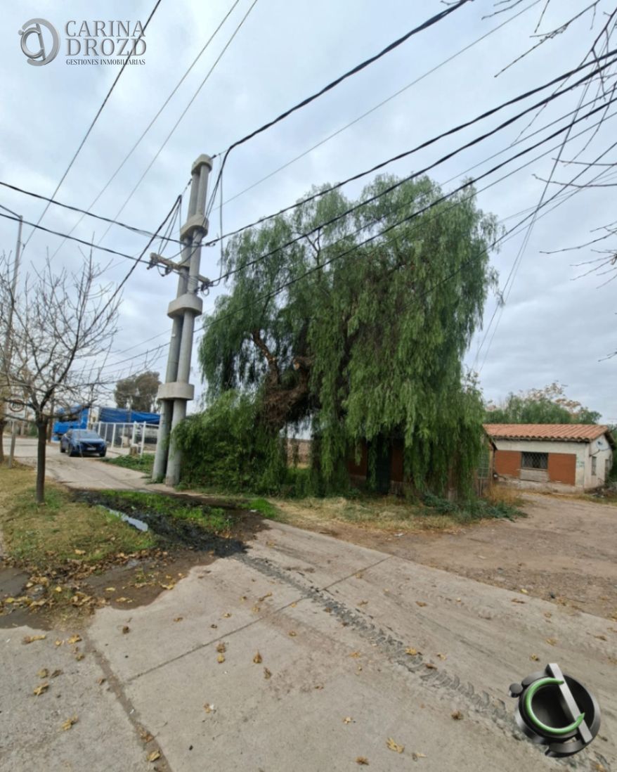 Imagen 6