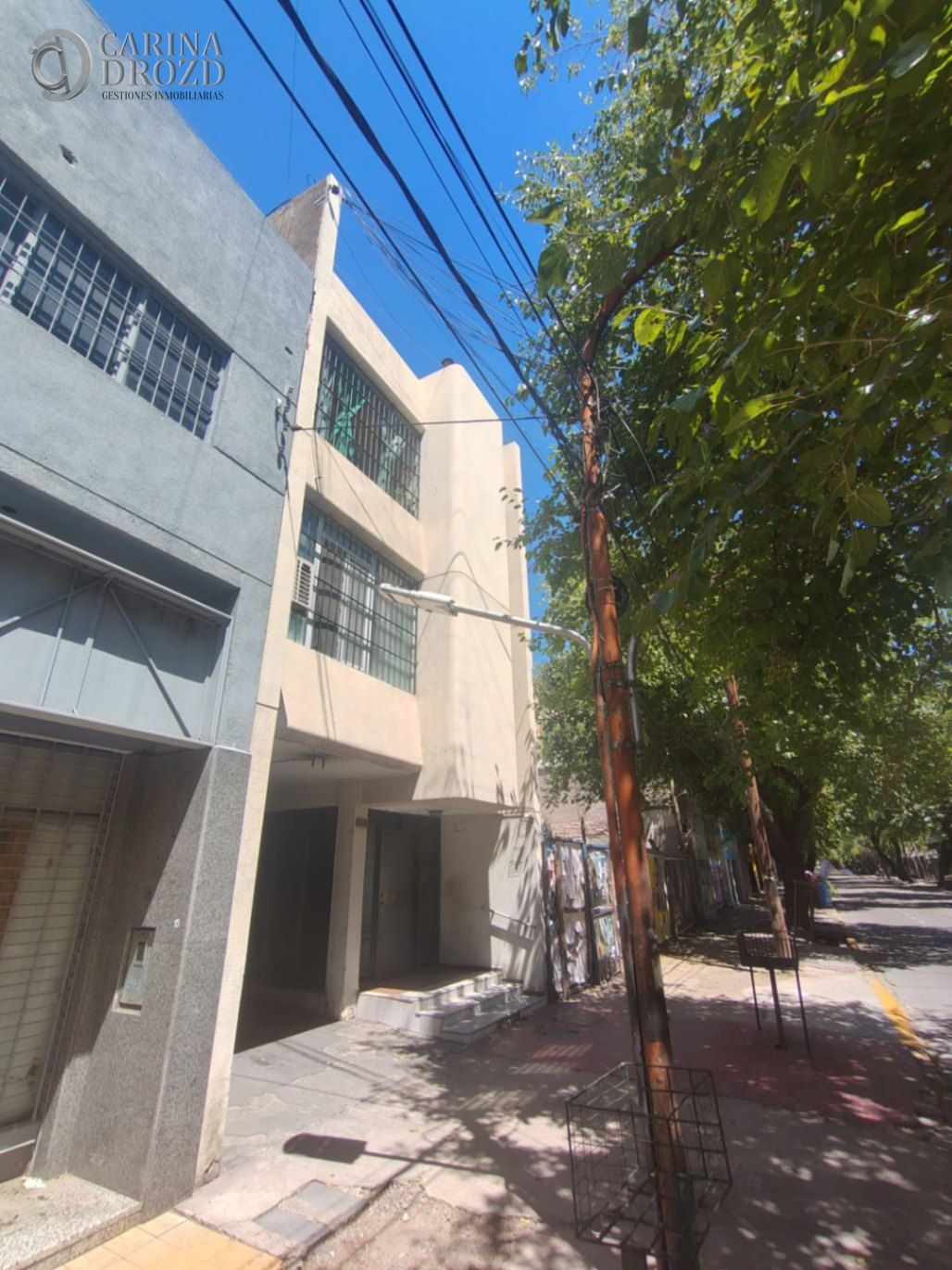 Imagen 2