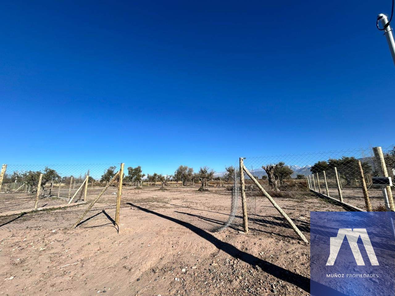 Terreno en Venta en Lujan de Cuyo, Mendoza