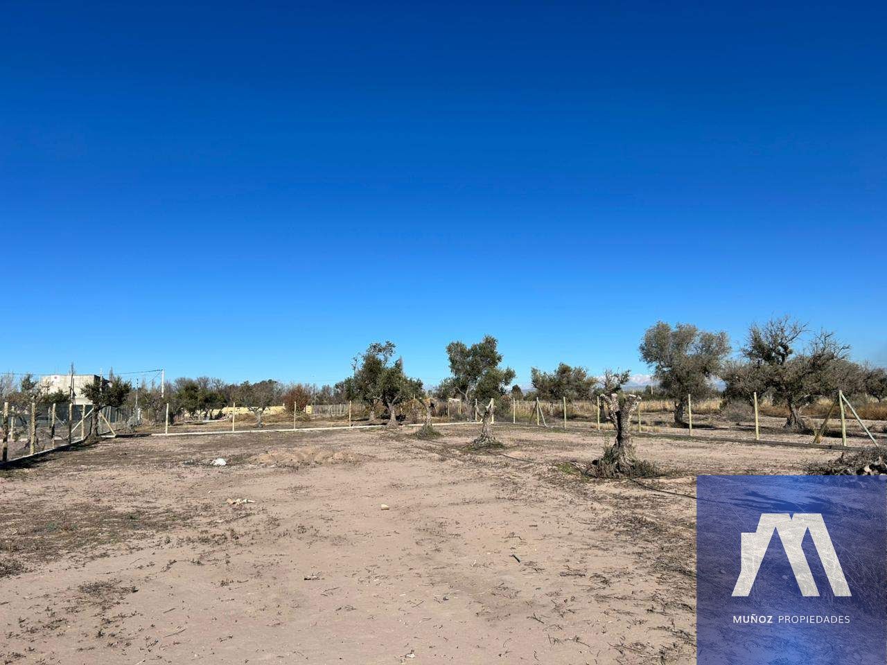 Terreno en Venta en Lujan de Cuyo, Mendoza