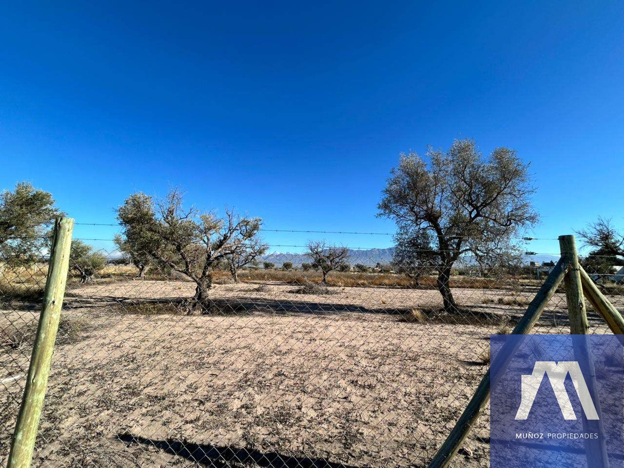 Terreno en Venta en Lujan de Cuyo, Mendoza