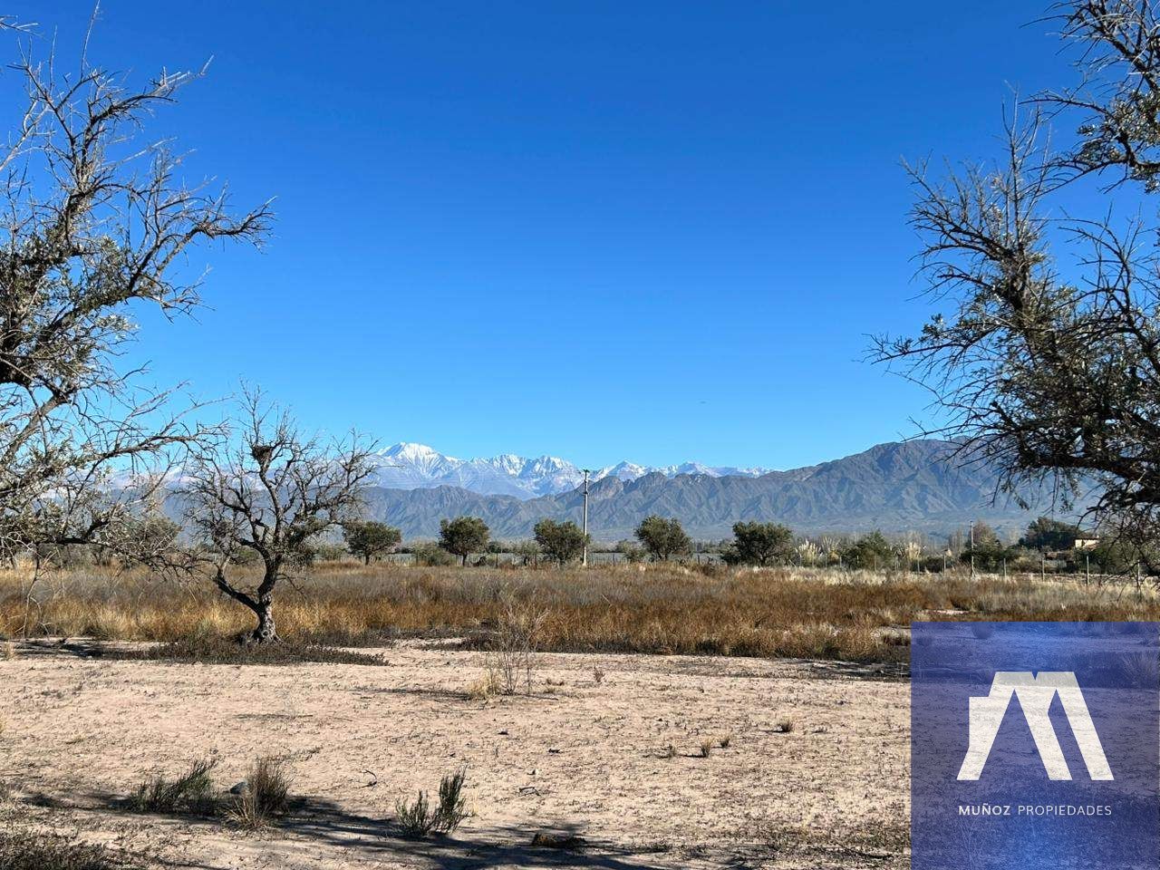 Terreno en Venta en Lujan de Cuyo, Mendoza