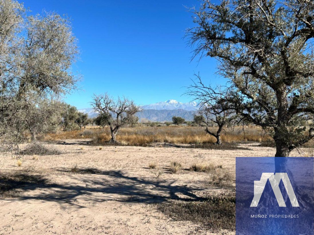 Terreno en Venta en Lujan de Cuyo, Mendoza