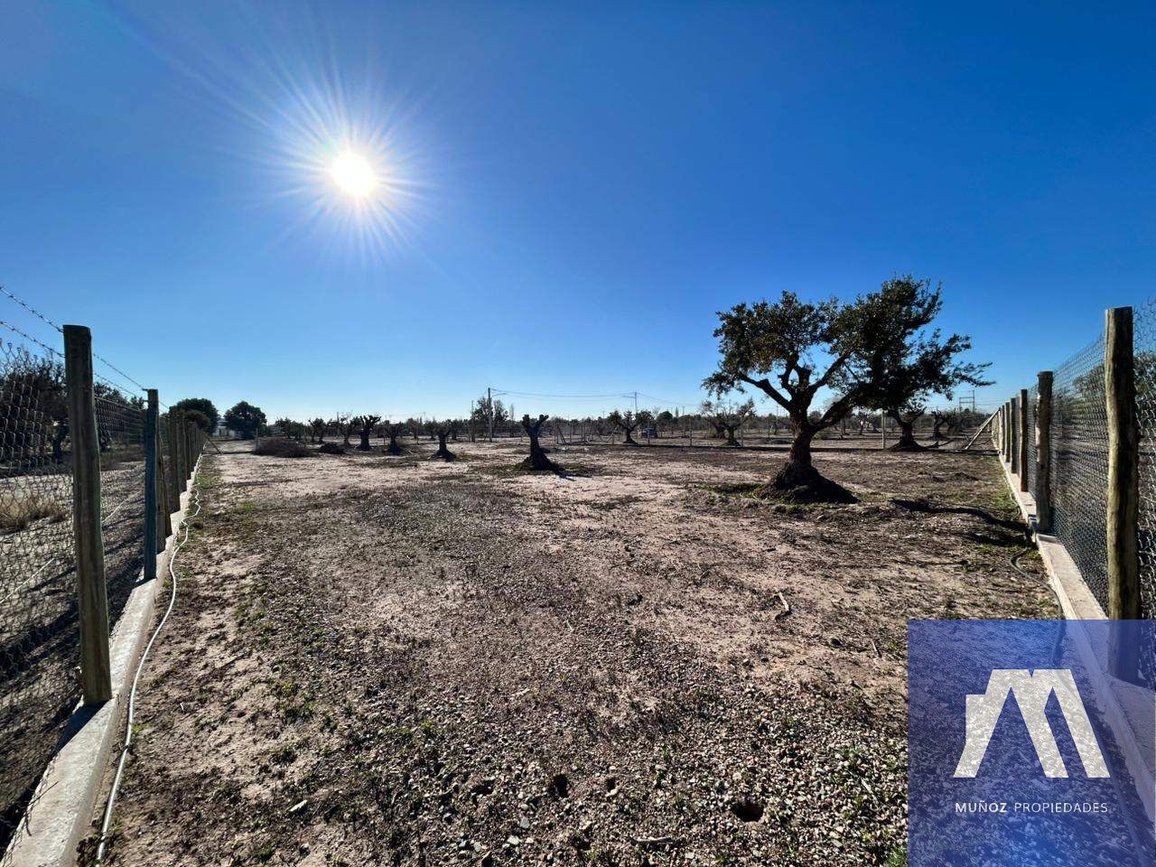 Terreno en Venta en Lujan de Cuyo, Mendoza