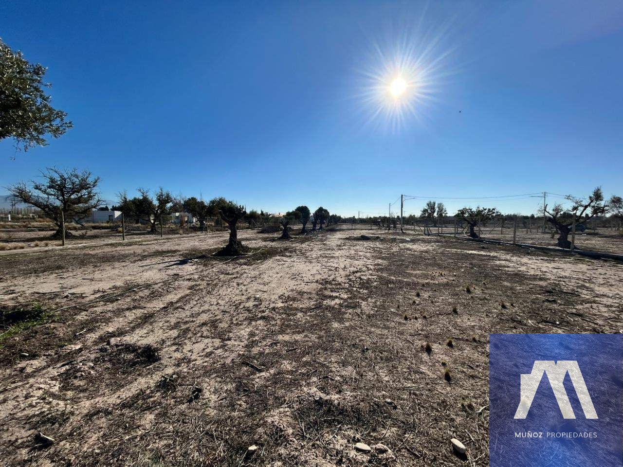 Terreno en Venta en Lujan de Cuyo, Mendoza