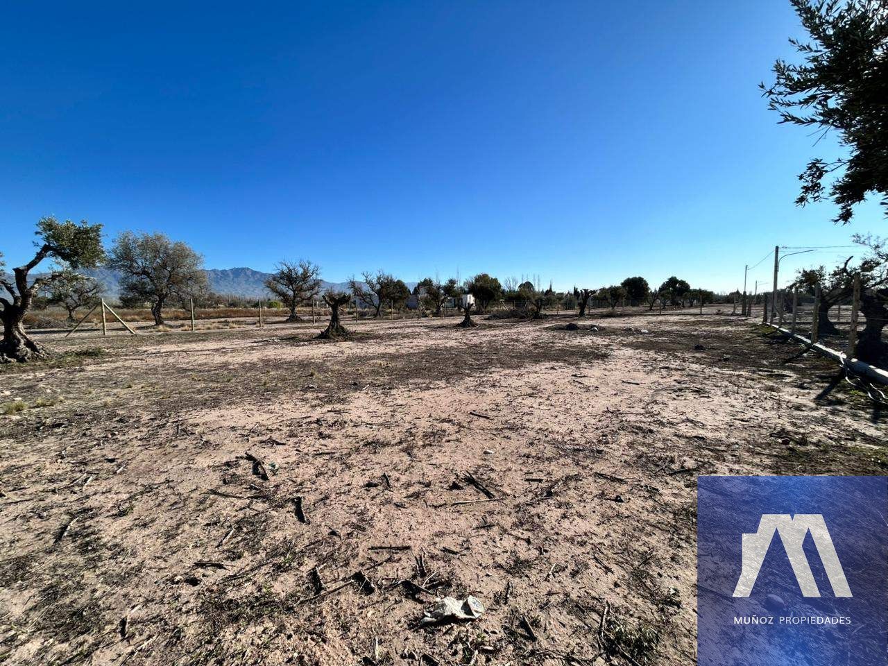 Terreno en Venta en Lujan de Cuyo, Mendoza
