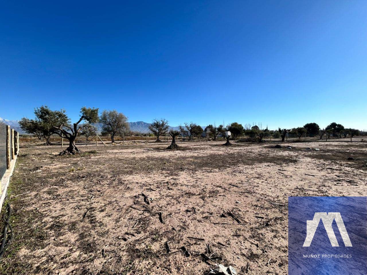 Terreno en Venta en Lujan de Cuyo, Mendoza