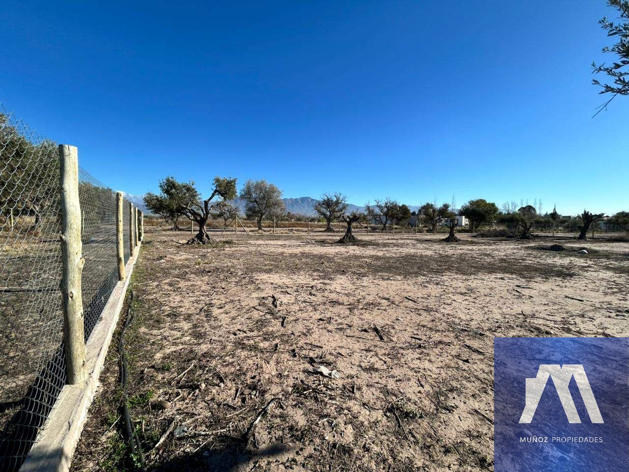 Terreno en Venta en Lujan de Cuyo, Mendoza