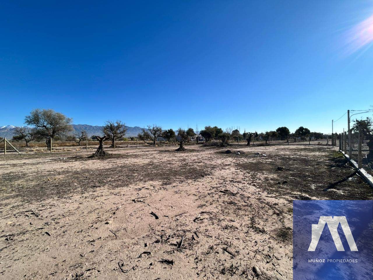 Terreno en Venta en Lujan de Cuyo, Mendoza