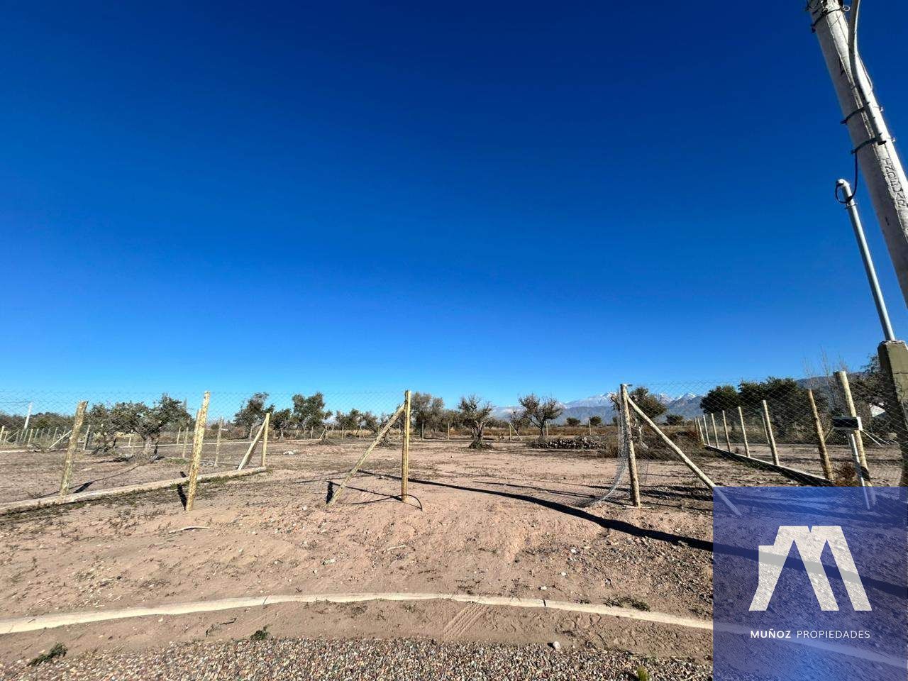 Terreno en Venta en Lujan de Cuyo, Mendoza