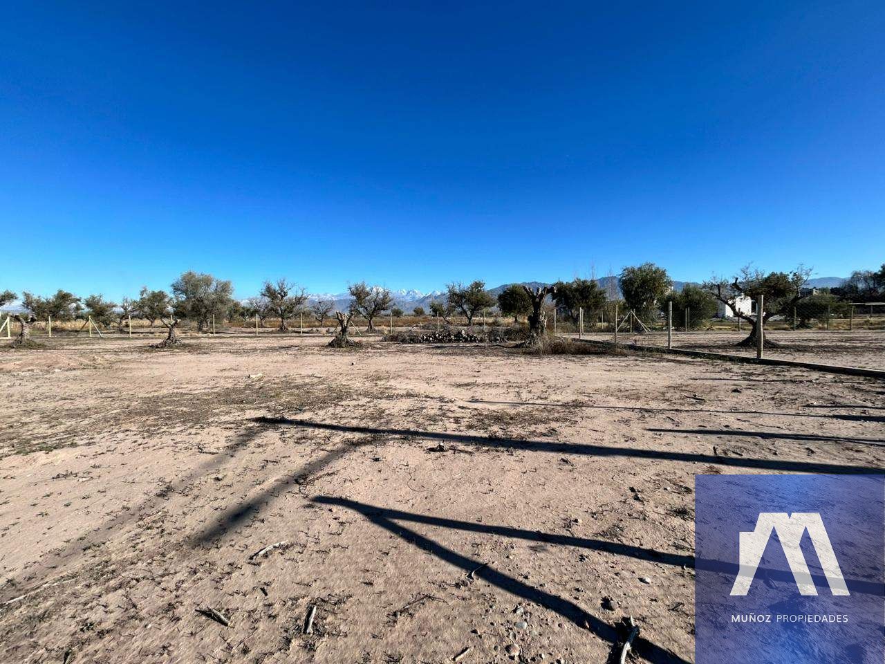 Terreno en Venta en Lujan de Cuyo, Mendoza