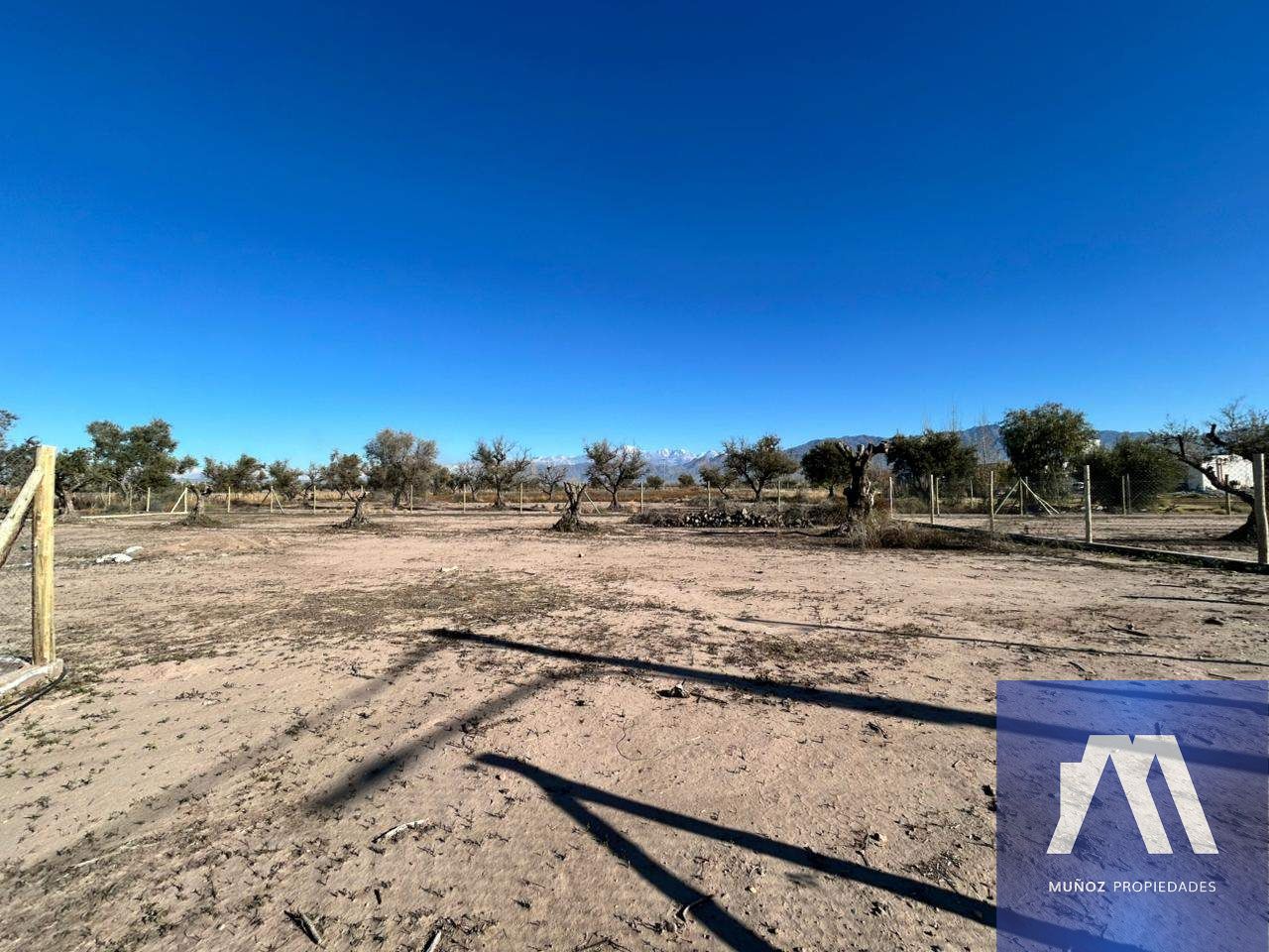 Terreno en Venta en Lujan de Cuyo, Mendoza