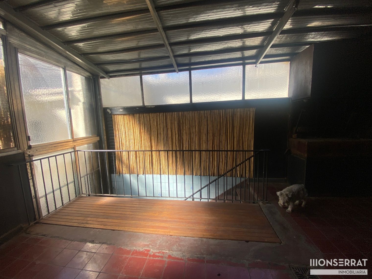 Imagen 20