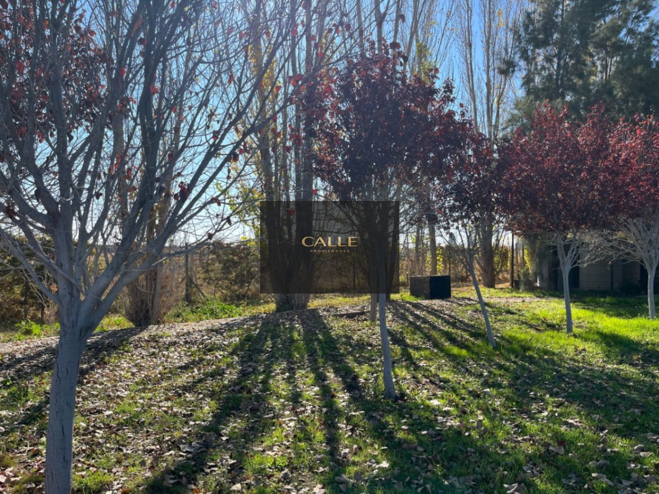 Terreno en Venta en Maipu, Mendoza