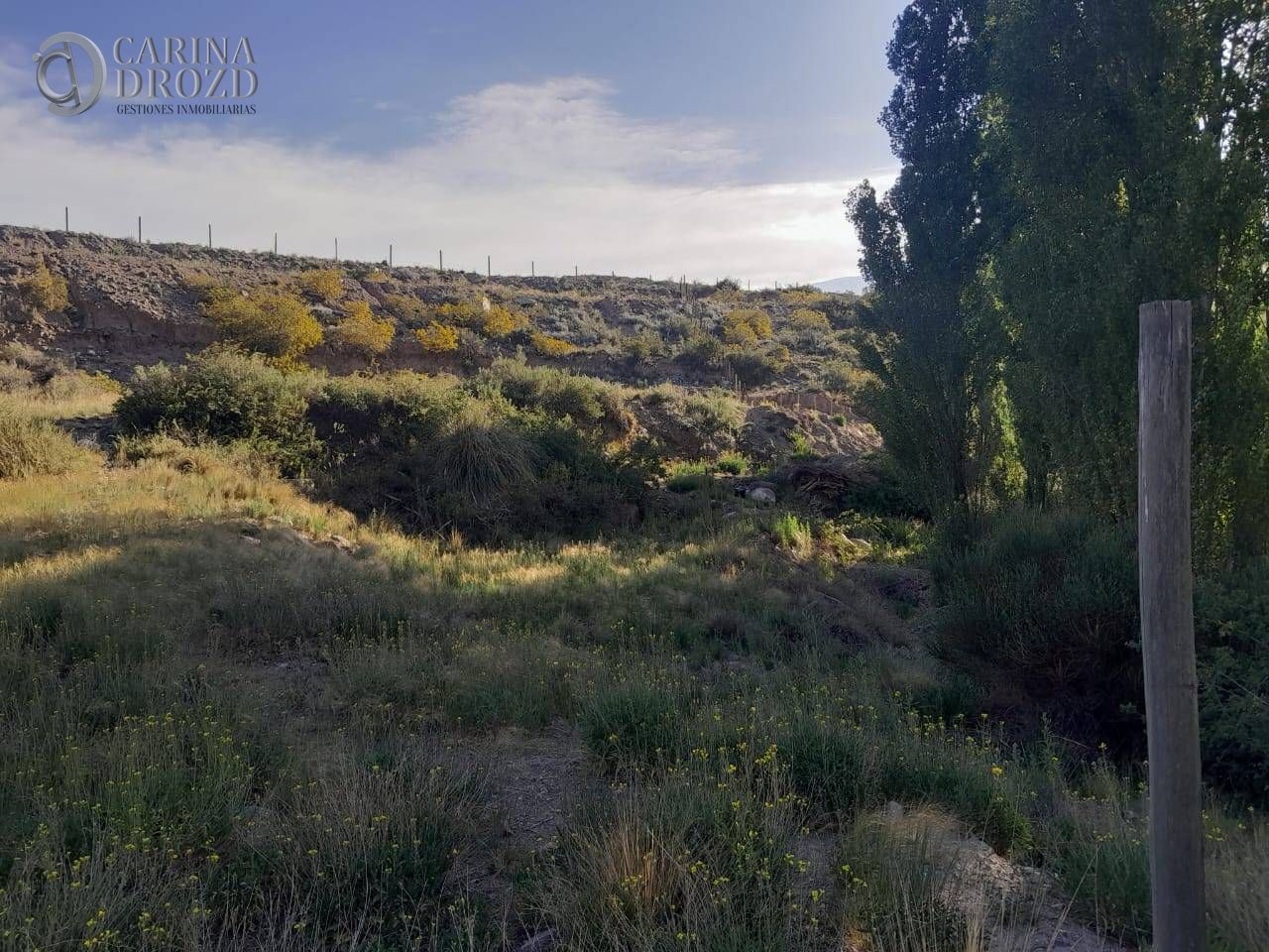 Imagen 3