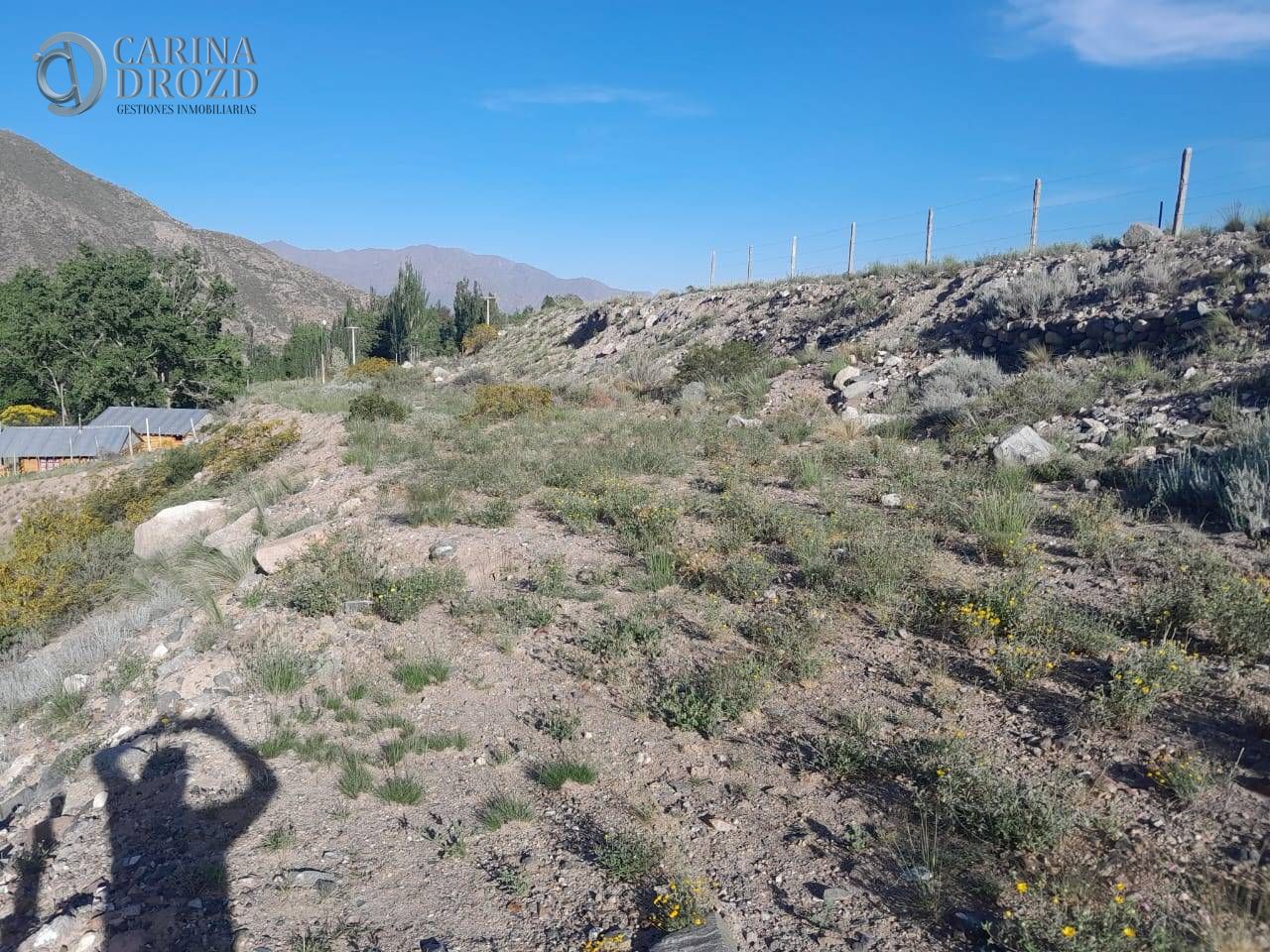 Imagen 5