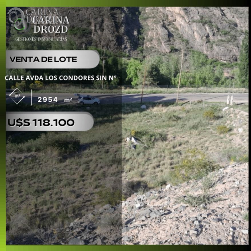 Imagen 8