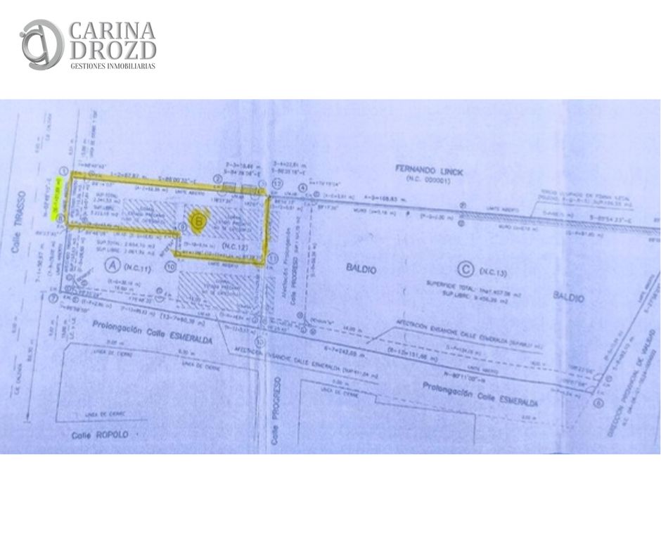 Imagen 8