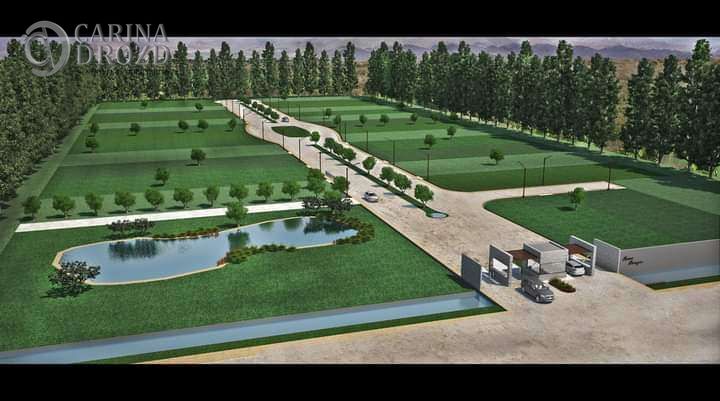 Imagen 4