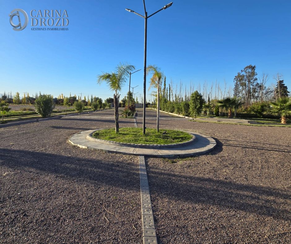 Imagen 6
