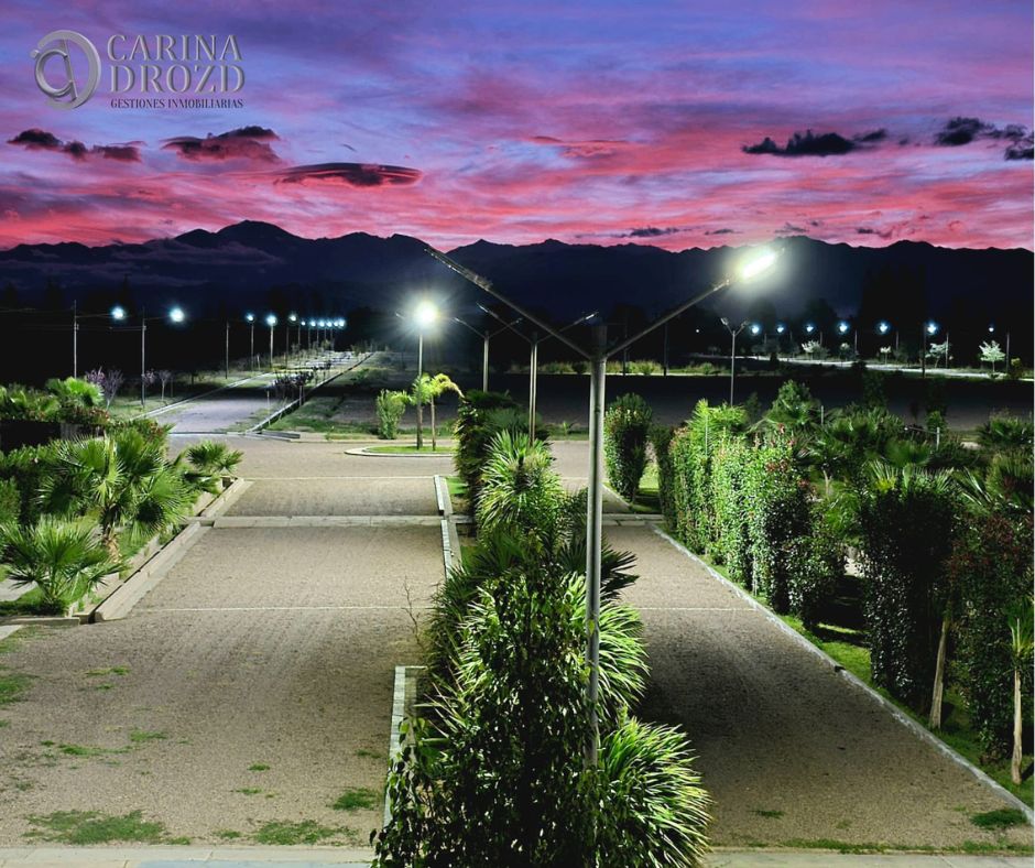 Imagen 8