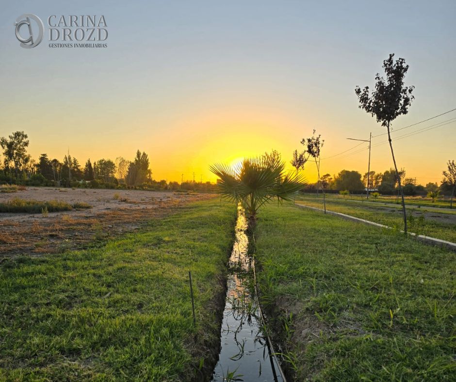 Imagen 11