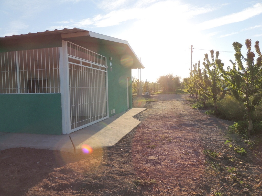 Maipu CASA EN ALQUILER RODEADA DE CEREZOS